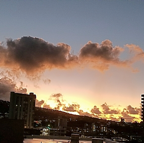 Meet your Posher, Theresa - Picture 2 of 2